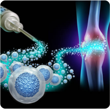 Bone Marrow Transplant